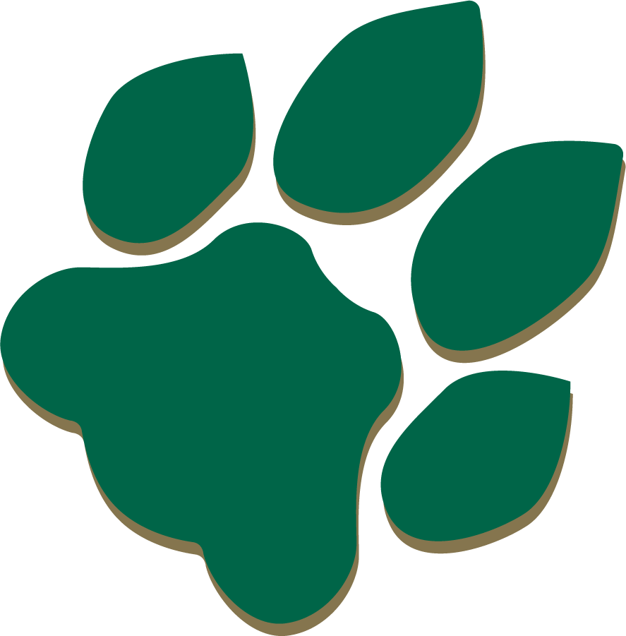 Ohio Bobcats 1978-1996 Alternate Logo diy iron on heat transfer